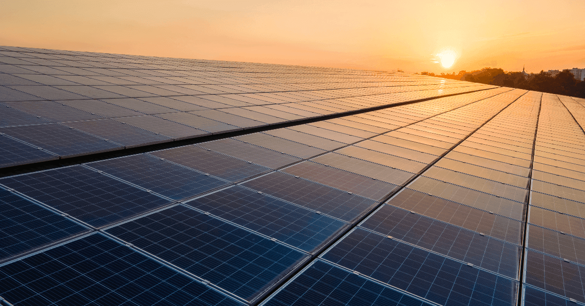 Sun setting over solar panels