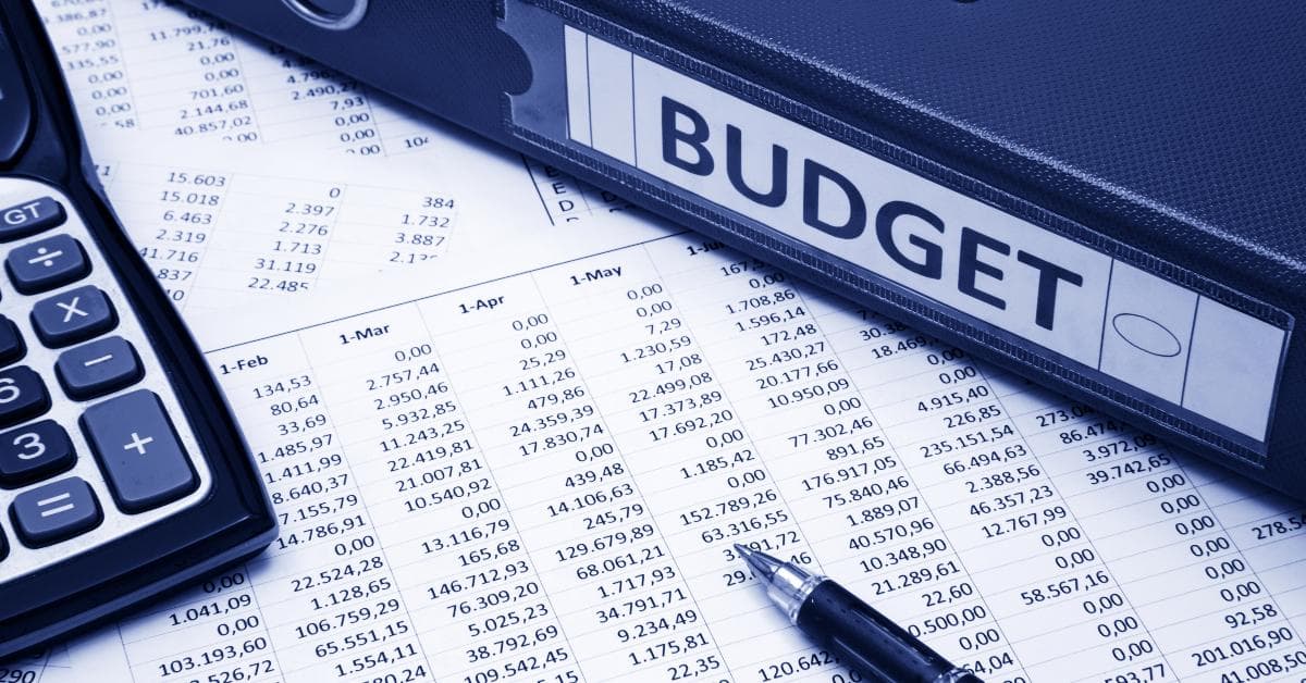 Budget Analyst Concept
