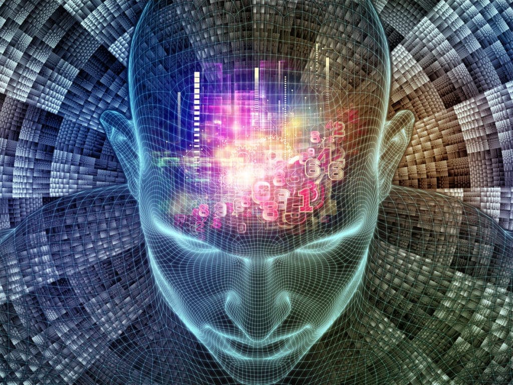 AI Shock and Wage Asymmetry: How to Navigate the New Entry-Level Job Market