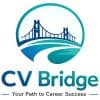 CV-BRIDGE LTD logo